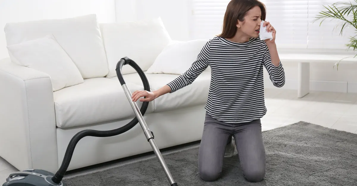 aspirateur pour les personnes allergiques avec filtre hepa