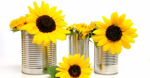 diy - pots de fleurs gratuits recyclage