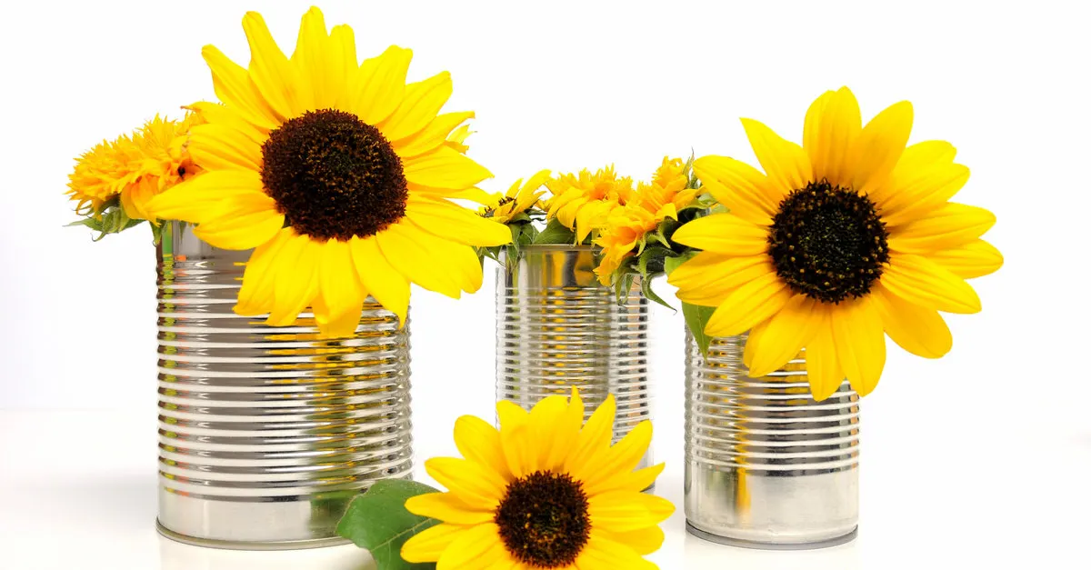 diy - pots de fleurs gratuits recyclage